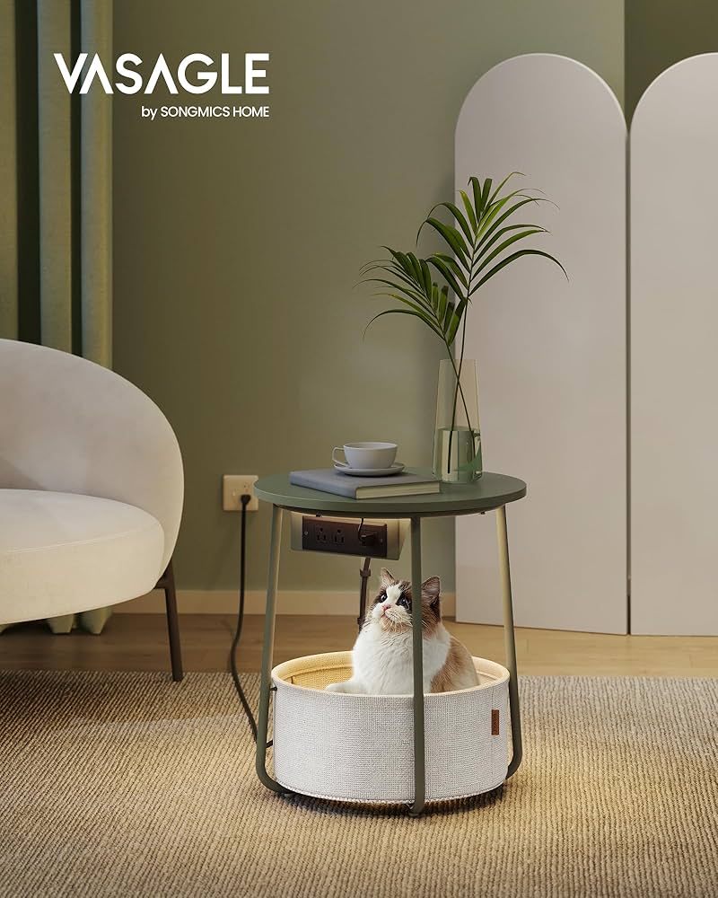 我谷風盆　約32cm×約22.5cm×約3.5cm Amazon.com: VASAGLE Small Round Side End Table, Modern